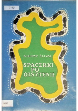 Spacerki po Olsztynie