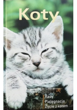 Koty Rasy pielęgnacja życie z kotem