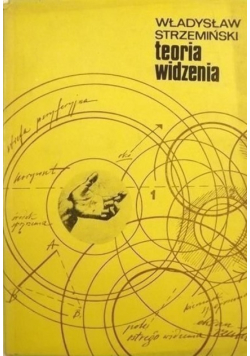Teoria widzenia