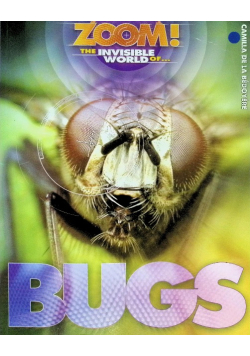 Bugs