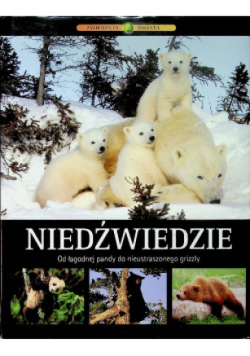 Niedźwiedzie od łagodnej pandy do nieustraszonego grizzly