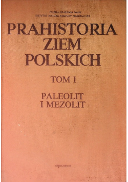 Prahistoria ziem Polskich Tom I Paleolit i Mezolit