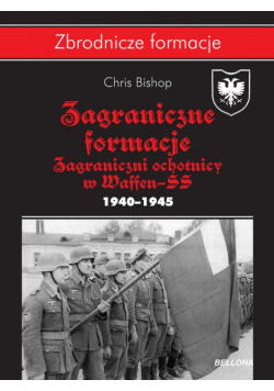 Zagraniczne formacje SS