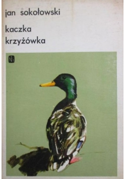 Kaczka krzyżówka