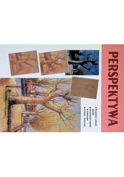 Perspektywa