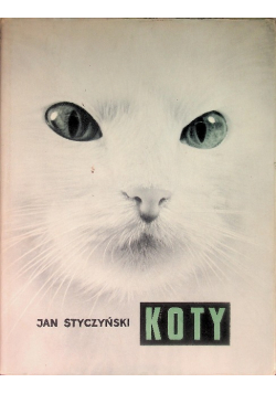 Koty