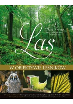 Las w obiektywie leśników