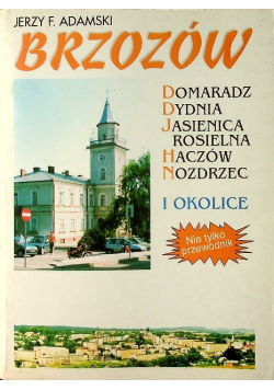 Brzozów i okolice