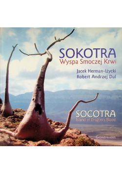 Sokotra Wyspa Smoczej Krwi
