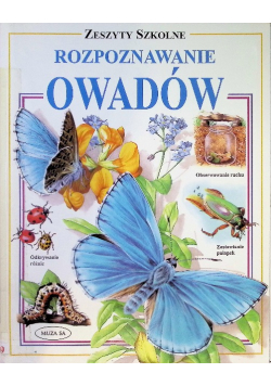 Rozpoznawanie owadów