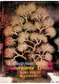 Mistycy i cudotwórcy Tybetu Lama pięciu mądrości