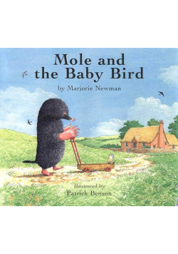 Mole and the Baby Bird