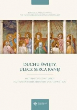 Duchu Święty, ulecz serca ranę!