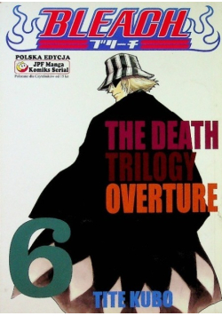 Bleach Tom 6