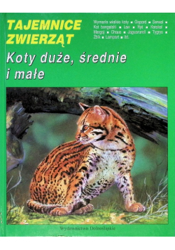 Tajemnice zwierząt. Koty duże, średnie i małe