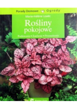 Rośliny pokojowe