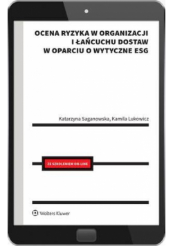 Ocena ryzyka w organizacji i łańcuchu dostaw w oparciu o wytyczne ESG