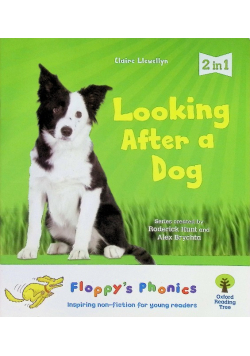 Looking After a Dog