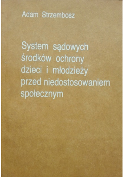 System sądowych środków ochrony dzieci i młodzieży przed niedostosowaniem społecznym