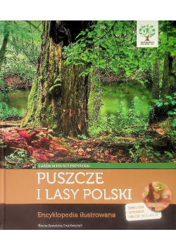 Puszcze i lasy Polski