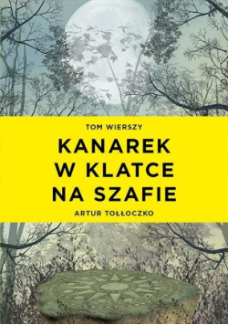 Kanarek w klatce na szafie
