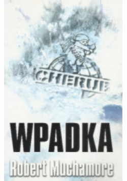 Wpadka