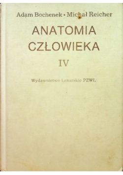 Anatomia Człowieka Tom IV