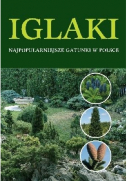 Iglaki najpopularniejsze gatunki w Polsce