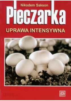 Pieczarka Uprawa intensywna