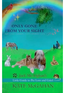 Only Gone From Your Sight