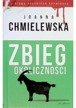 Królowa Polskiego Kryminału Tom 24 Zbieg okoliczności