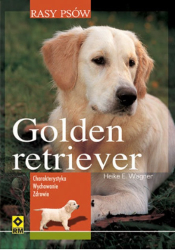 Rasy psów Golden retriever Rasy psów