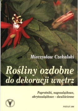 Rośliny ozdobne do dekoracji wnętrz