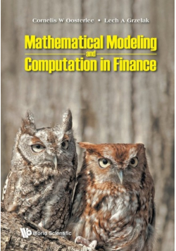 Mathematical Modeling and Computation in Finance