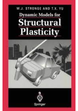 Dynamic Models for Structural Plasticity