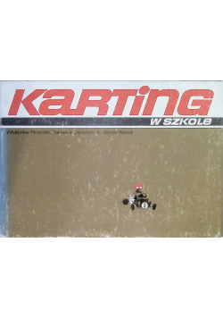 Karting w szkole