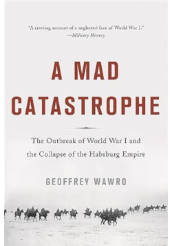 A Mad Catastrophe: The Outbreak of World War I and the Collapse of the Habsburg Empire