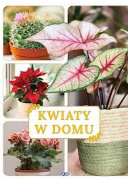 Kwiaty w domu