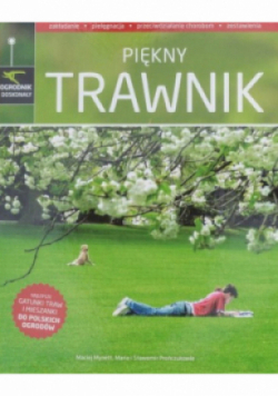 Piękny trawnik