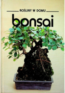 Rośliny w domu Bonsai