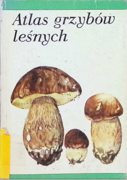 Atlas grzybów leśnych