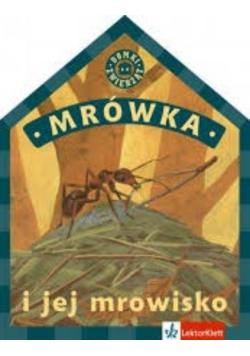 Mrówka i jej mrowisko