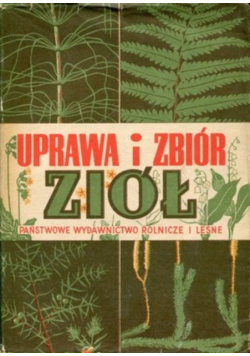 Uprawa i zbiór ziół