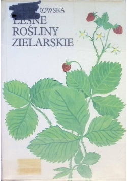 Leśne rośliny zielarskie