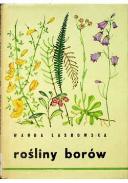 Rośliny borów