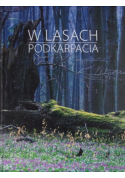 W lasach Podkarpacia
