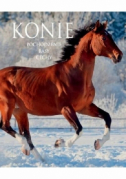 Konie Pochodzenie Rasy Cechy