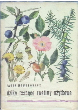 Dziko rosnące rośliny użytkowe
