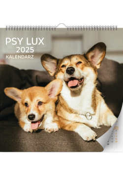 Kalendarz 2025 ścienny Lux kwadratowy Psy