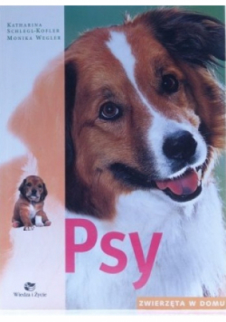Psy